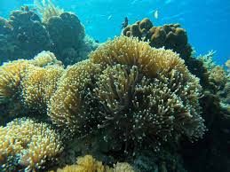 download - 2023-08-19T115539.132