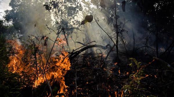 images - 2023-08-31T112040.806