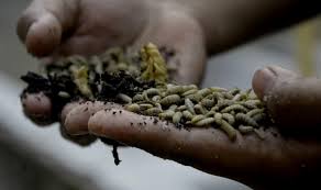 download - 2023-09-05T115024.572