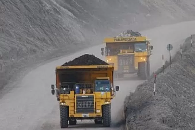 images - 2023-11-19T142010.888