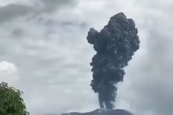 images - 2023-12-06T154939.926