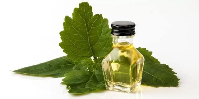 images - 2023-12-10T133542.638