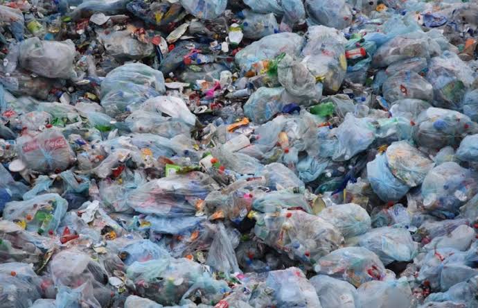 images - 2023-12-10T164430.962