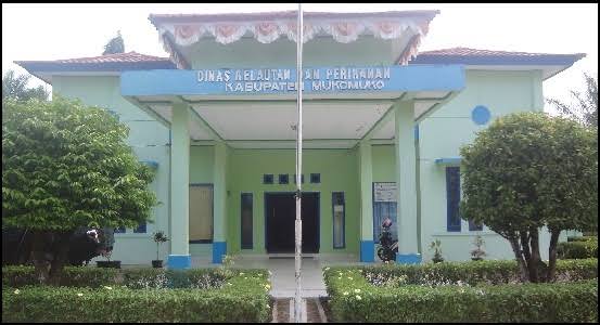 images - 2023-12-17T141130.252