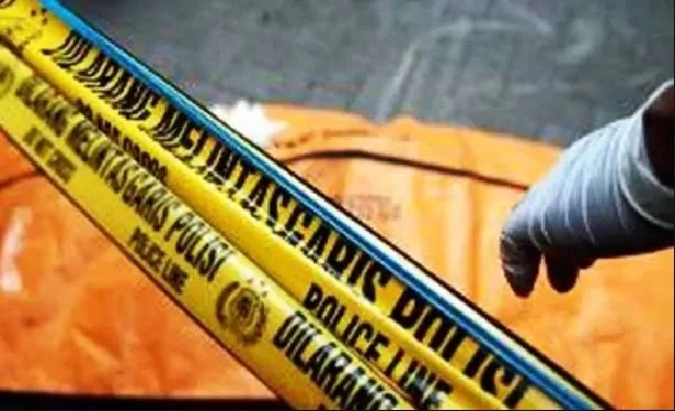 images - 2023-12-22T141956.292