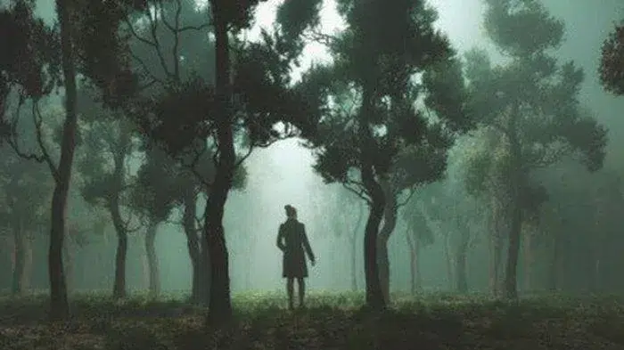 images - 2024-02-19T170831.973