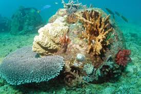 images - 2024-02-23T144801.123