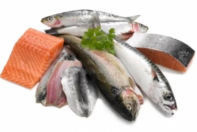 images - 2024-02-26T121218.107