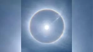 download - 2024-03-30T135852.529