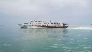 download - 2024-03-31T140616.066