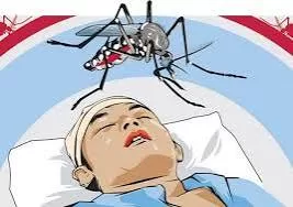 download - 2024-03-31T141538.566