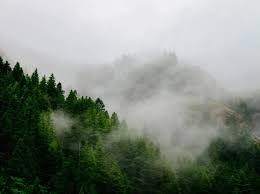 images - 2024-03-10T164753.104