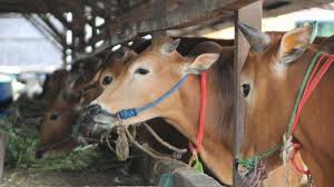 images - 2024-03-25T155457.211