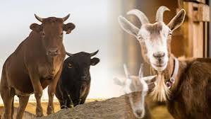 download - 2024-04-24T190515.697