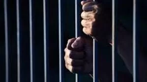 download - 2024-04-17T125151.622