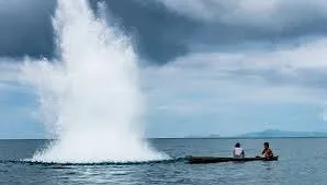 download - 2024-05-22T152815.361