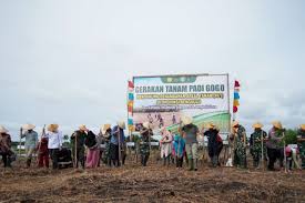 download - 2024-05-27T170416.072