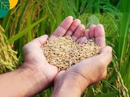 download - 2024-05-30T153032.692