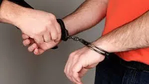 download - 2024-06-16T160004.460