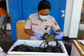 images - 2024-06-05T152828.502