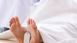 images - 2024-06-06T155014.788