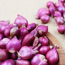 images - 2024-06-12T155225.129