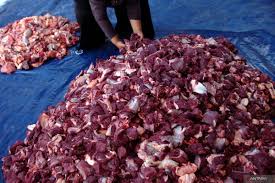 images - 2024-06-18T164221.065