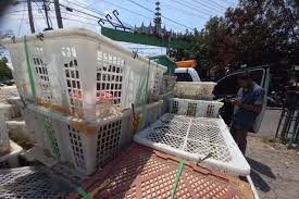 images - 2024-06-21T151646.370