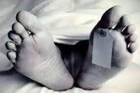 download - 2024-07-13T143611.450