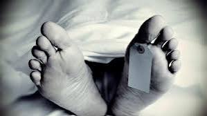 images - 2024-05-13T144102.246