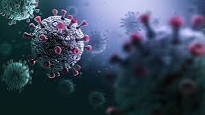 images - 2024-07-27T160814.865