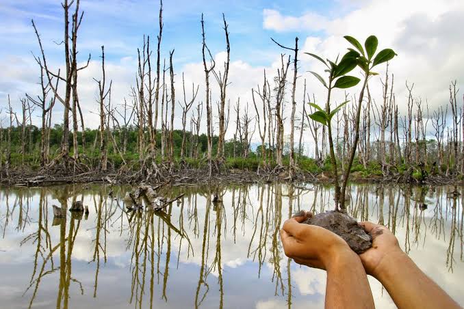 images - 2024-07-28T193011.747