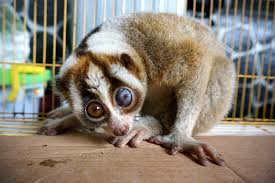 download - 2024-08-16T161809.880