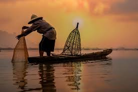 download - 2024-08-24T161206.384