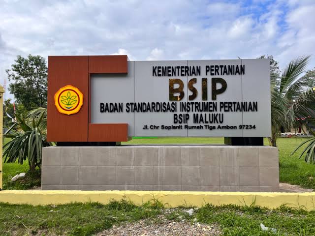 images - 2024-09-02T130738.651