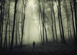 images - 2024-09-03T132651.708