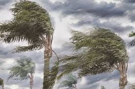 images - 2024-09-12T155355.777