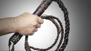 download - 2024-10-05T144609.360