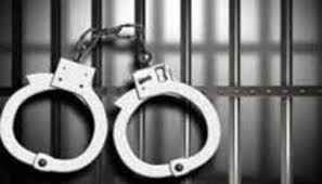 download - 2024-10-14T135716.911