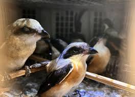 download - 2024-10-16T142247.193