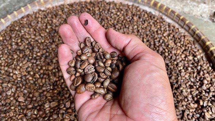 images - 2024-10-06T161319.068