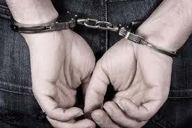 download - 2024-11-01T173312.422