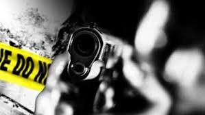 download - 2024-11-24T174706.627