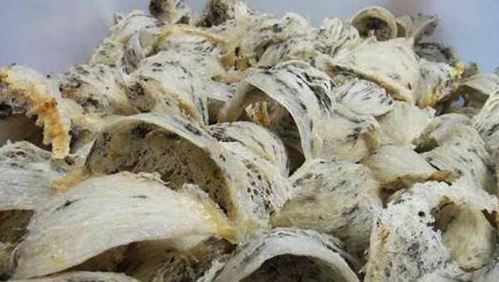 images - 2024-11-15T154916.549