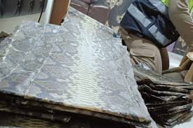 images - 2024-11-17T140952.664