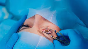 images - 2024-12-08T172146.823