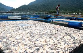 download - 2025-01-17T151747.710