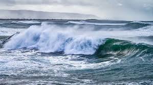 download - 2025-01-28T091009.286