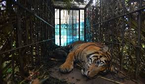 images - 2025-01-11T154605.332