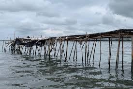 images - 2025-01-12T142735.947